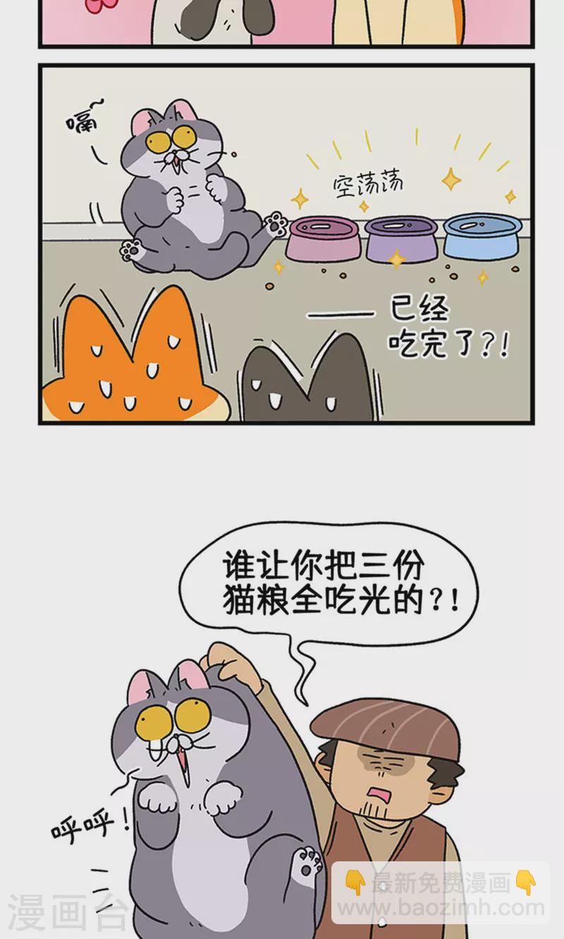 第79话 默默是大功臣5