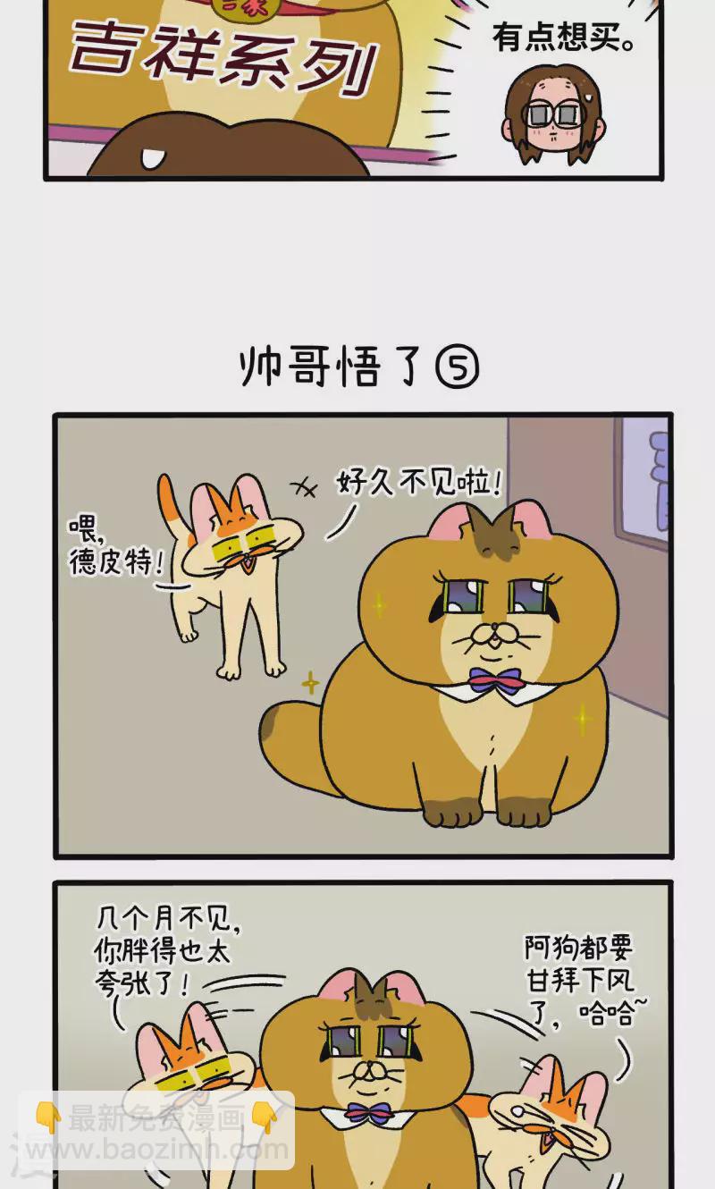第81话2 帅哥悟了22