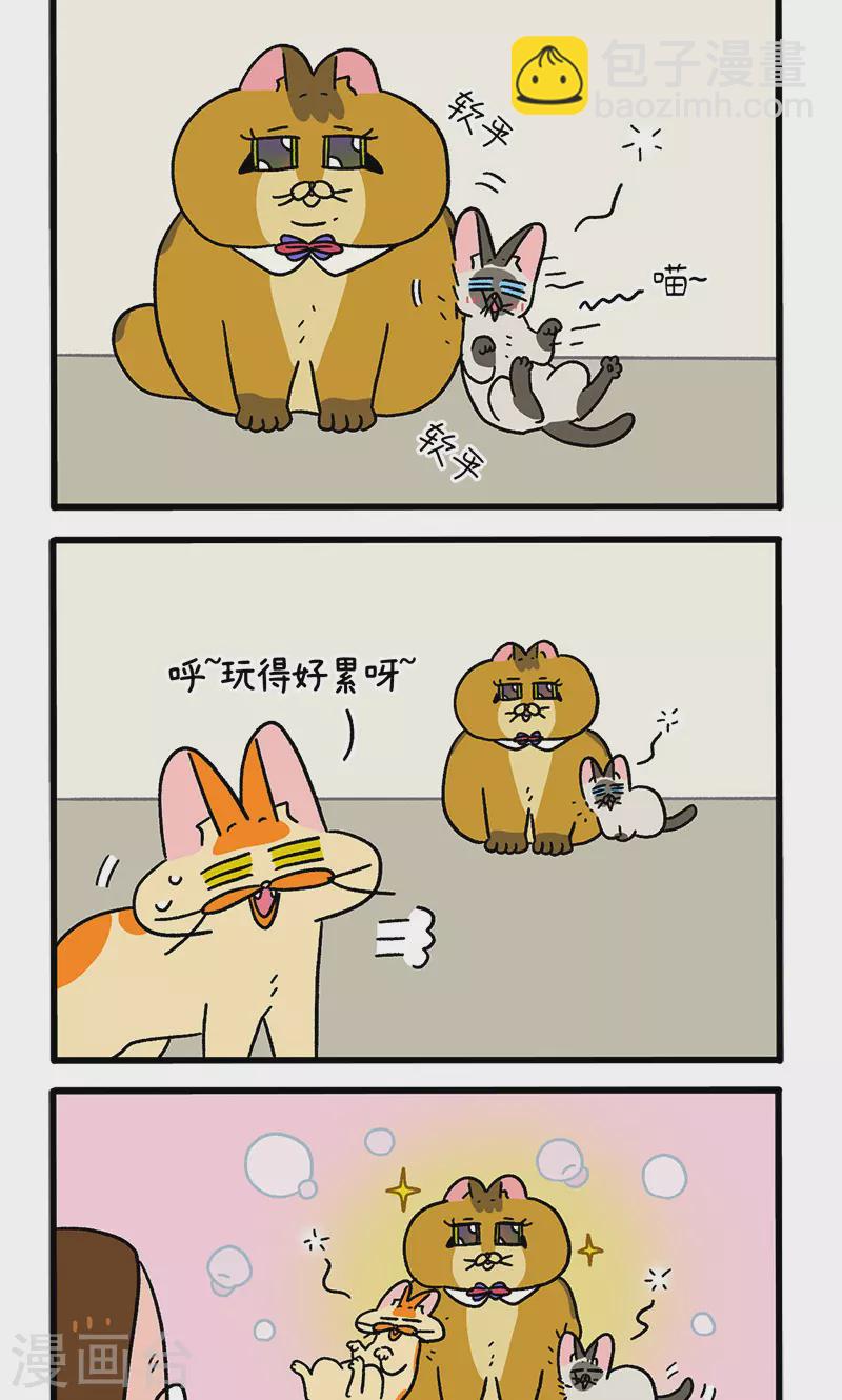 第82话2 猫咪再聚会1