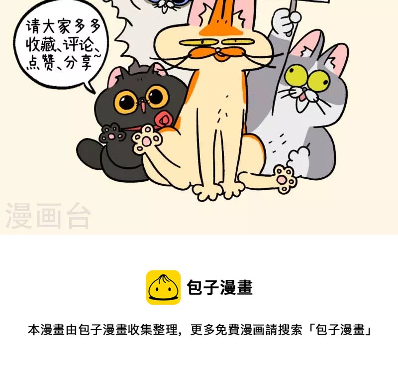 第82话2 猫咪再聚会8