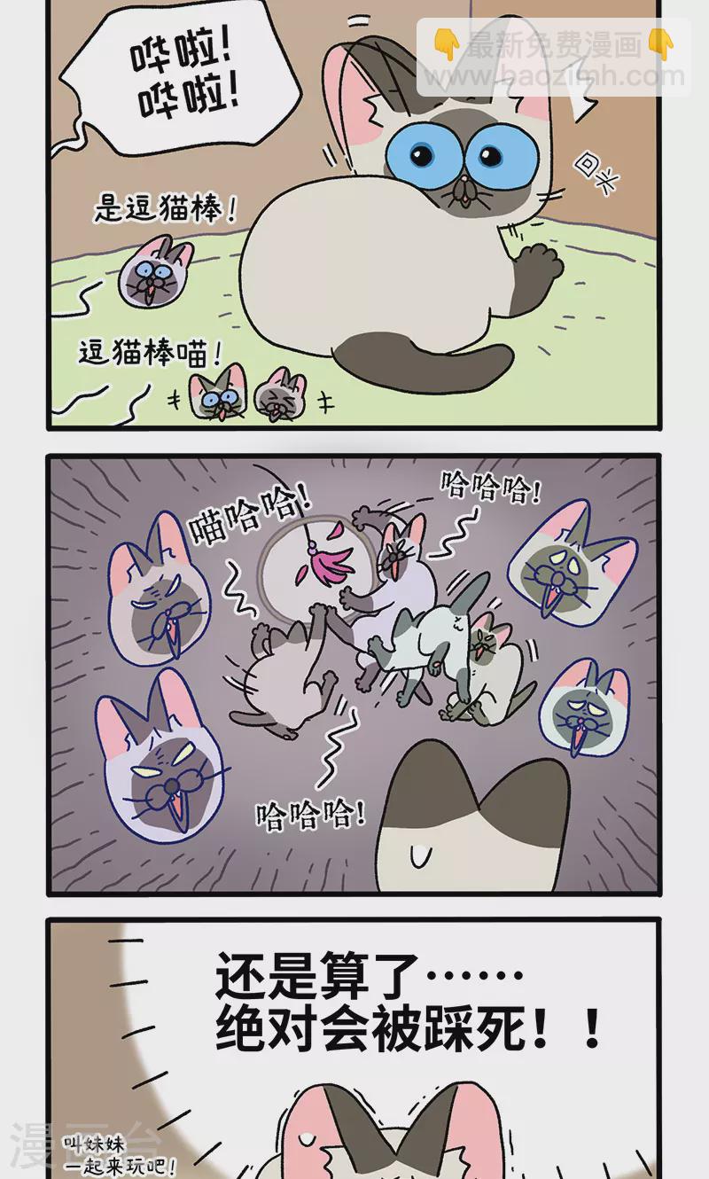 番外15上 默默的新生活11