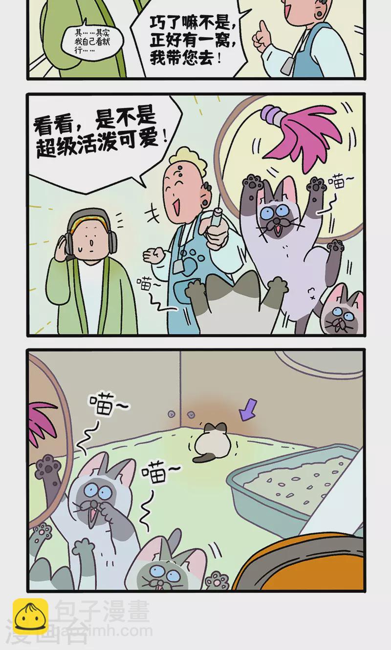 番外15上 默默的新生活13
