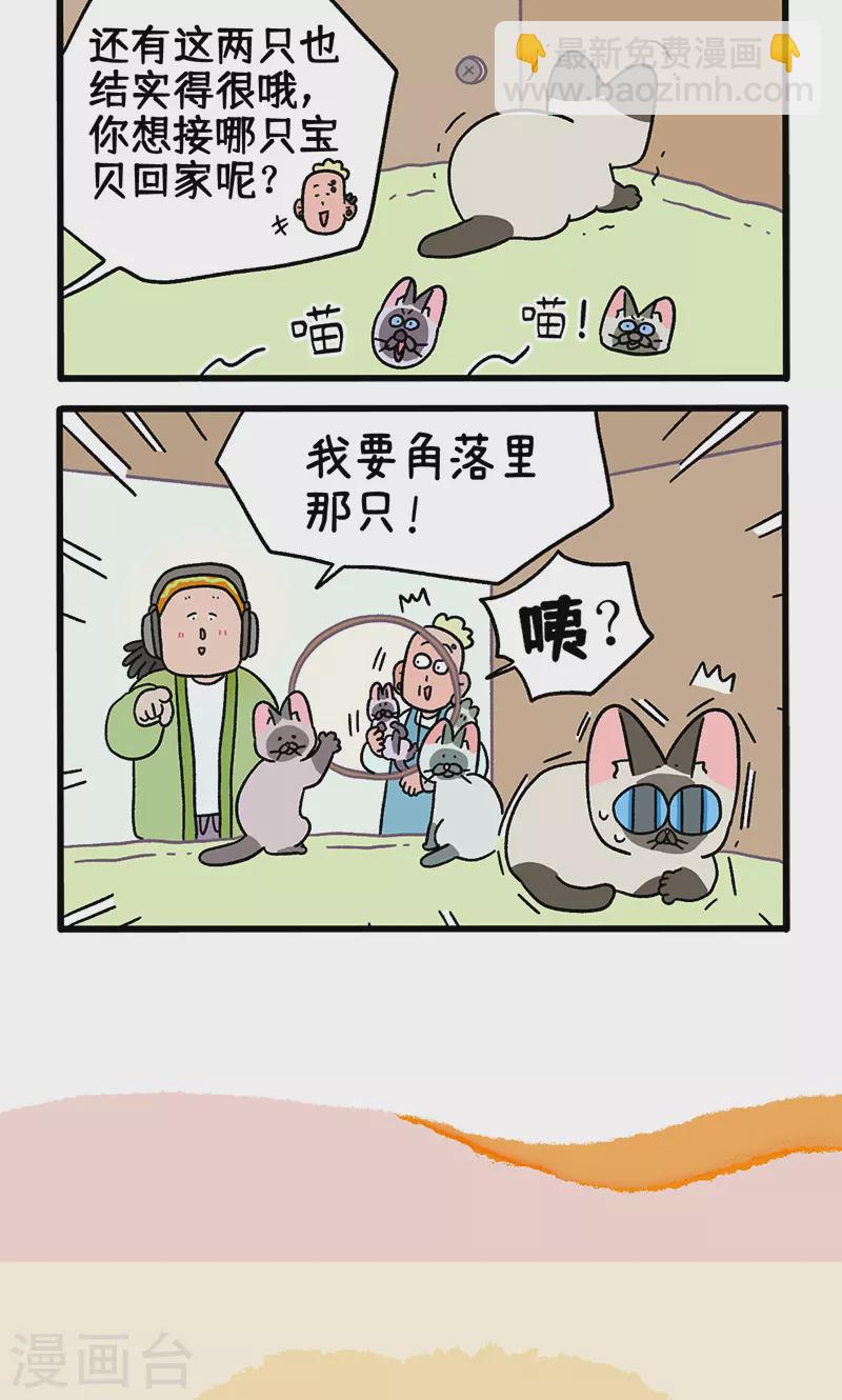 番外15上 默默的新生活15