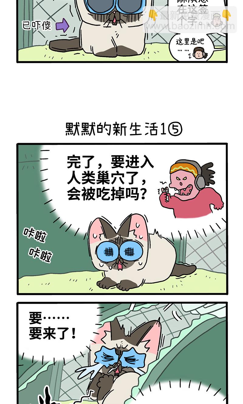 番外15下 默默的新生活12