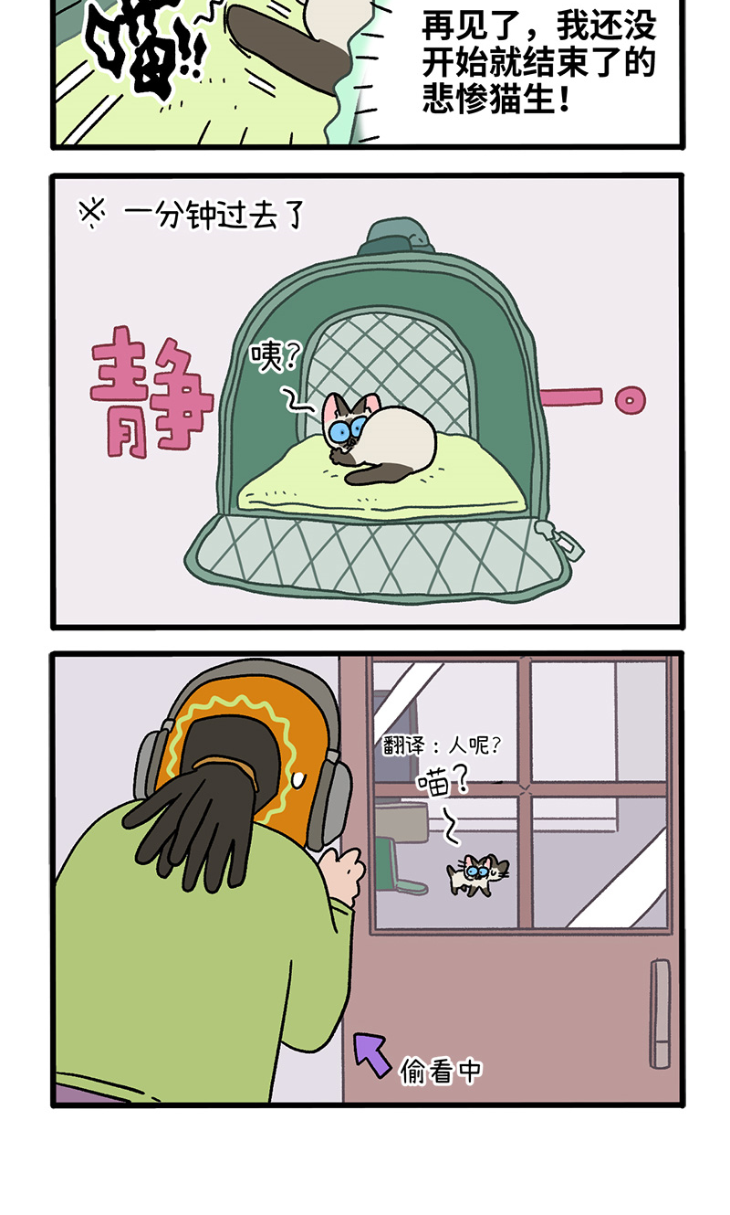 番外15下 默默的新生活13