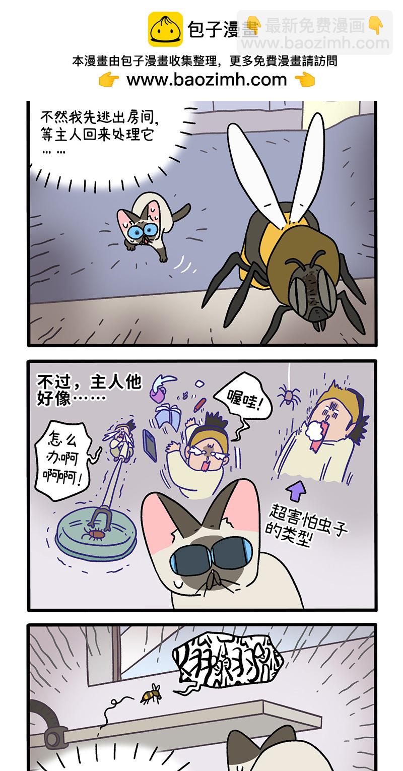 番外17下 默默的一天11