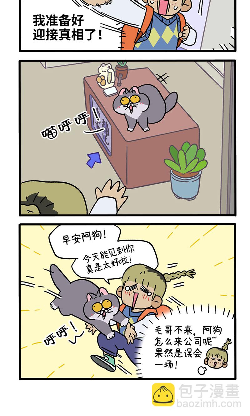 第86话 猫晶晶疑云43