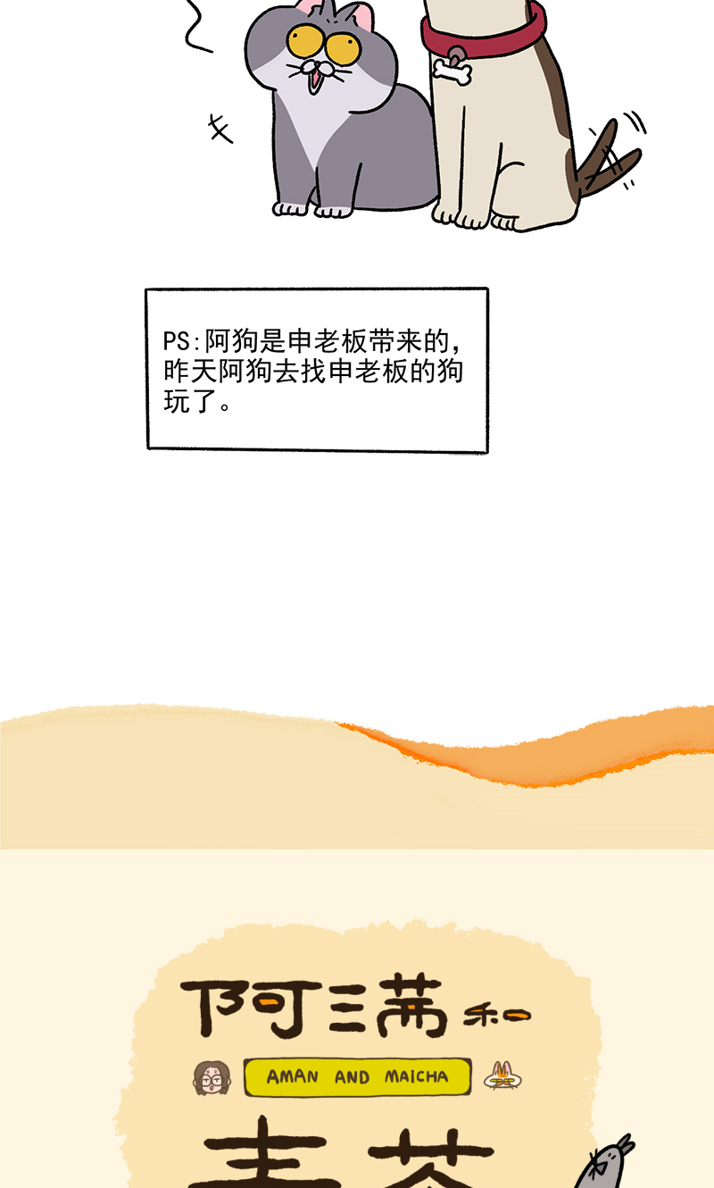 第86话 猫晶晶疑云46