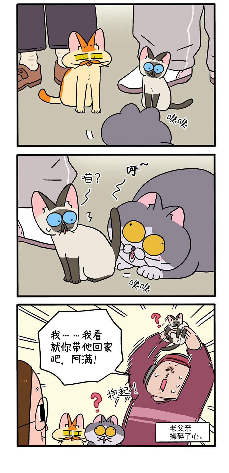 第88话2 阿狗的监护权2