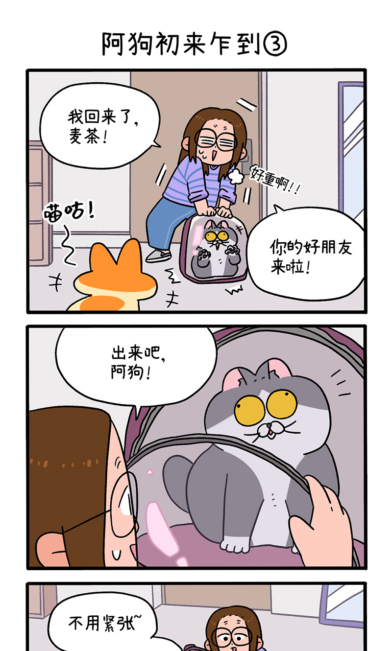 第89话1 阿狗初来乍到4