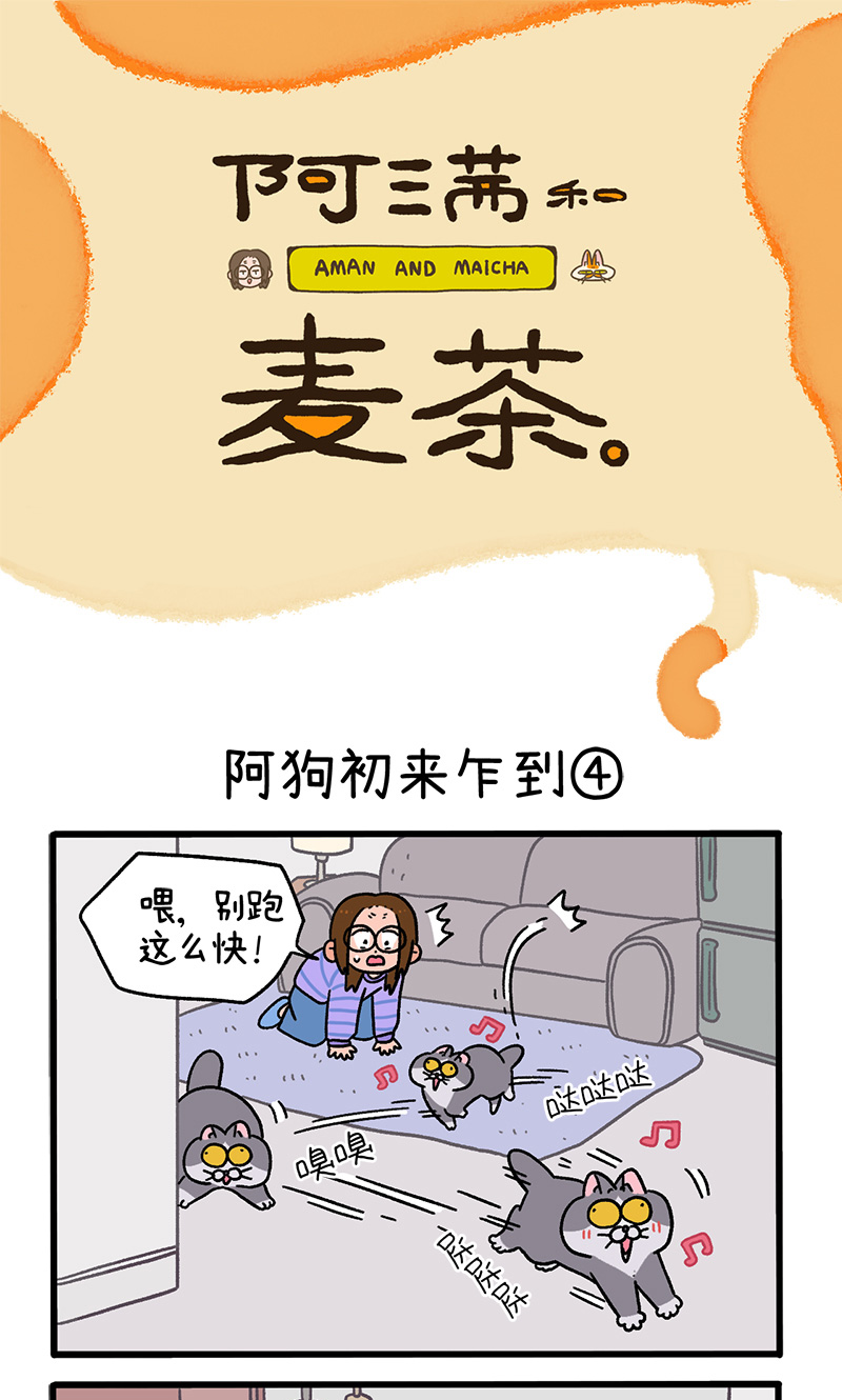 第89话2 阿狗初来乍到0