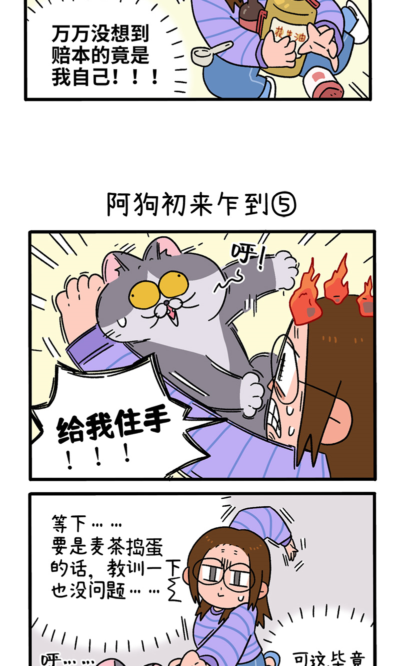 第89话2 阿狗初来乍到2