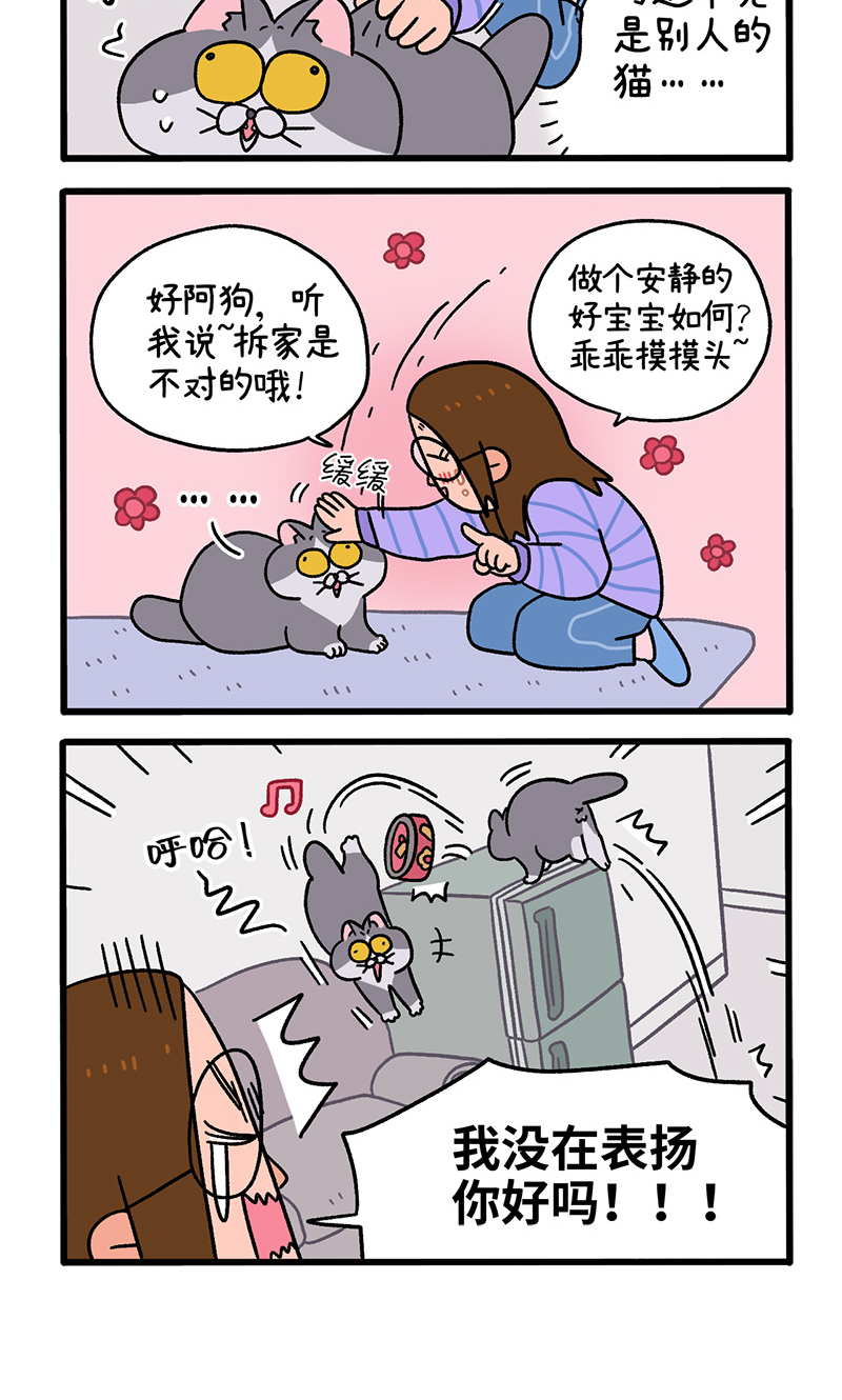 第89话2 阿狗初来乍到3