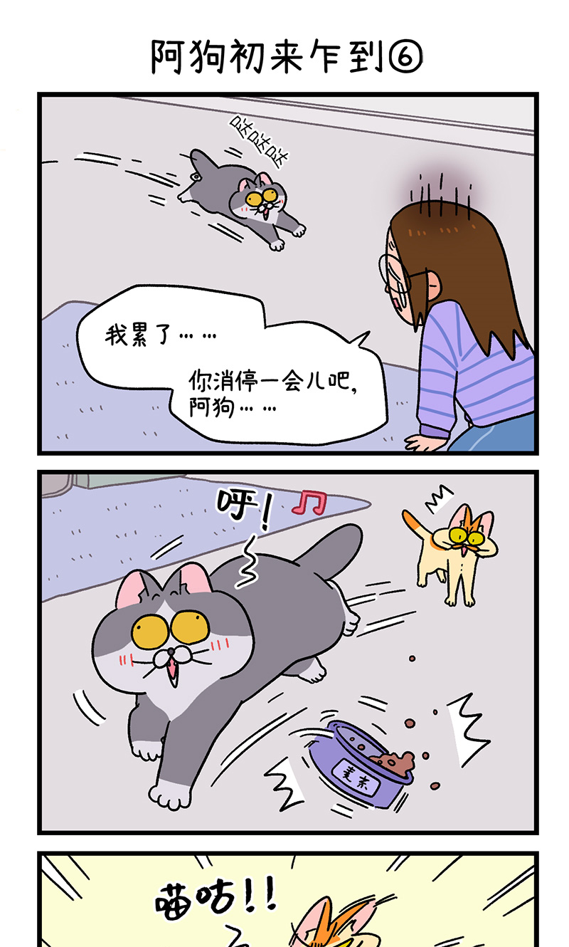 第89话2 阿狗初来乍到4