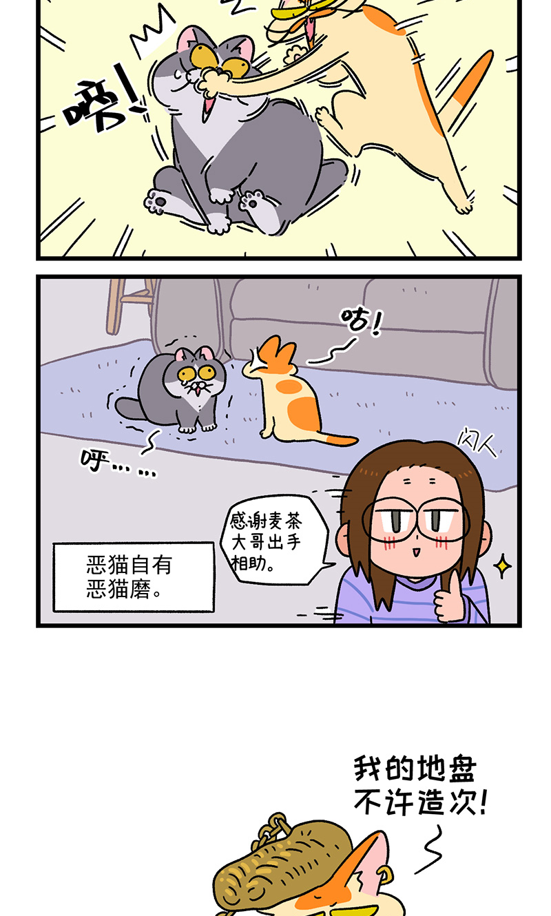 第89话2 阿狗初来乍到5