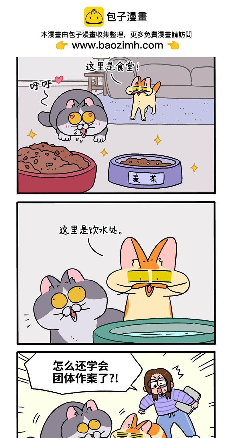 第90话 麦茶待客1