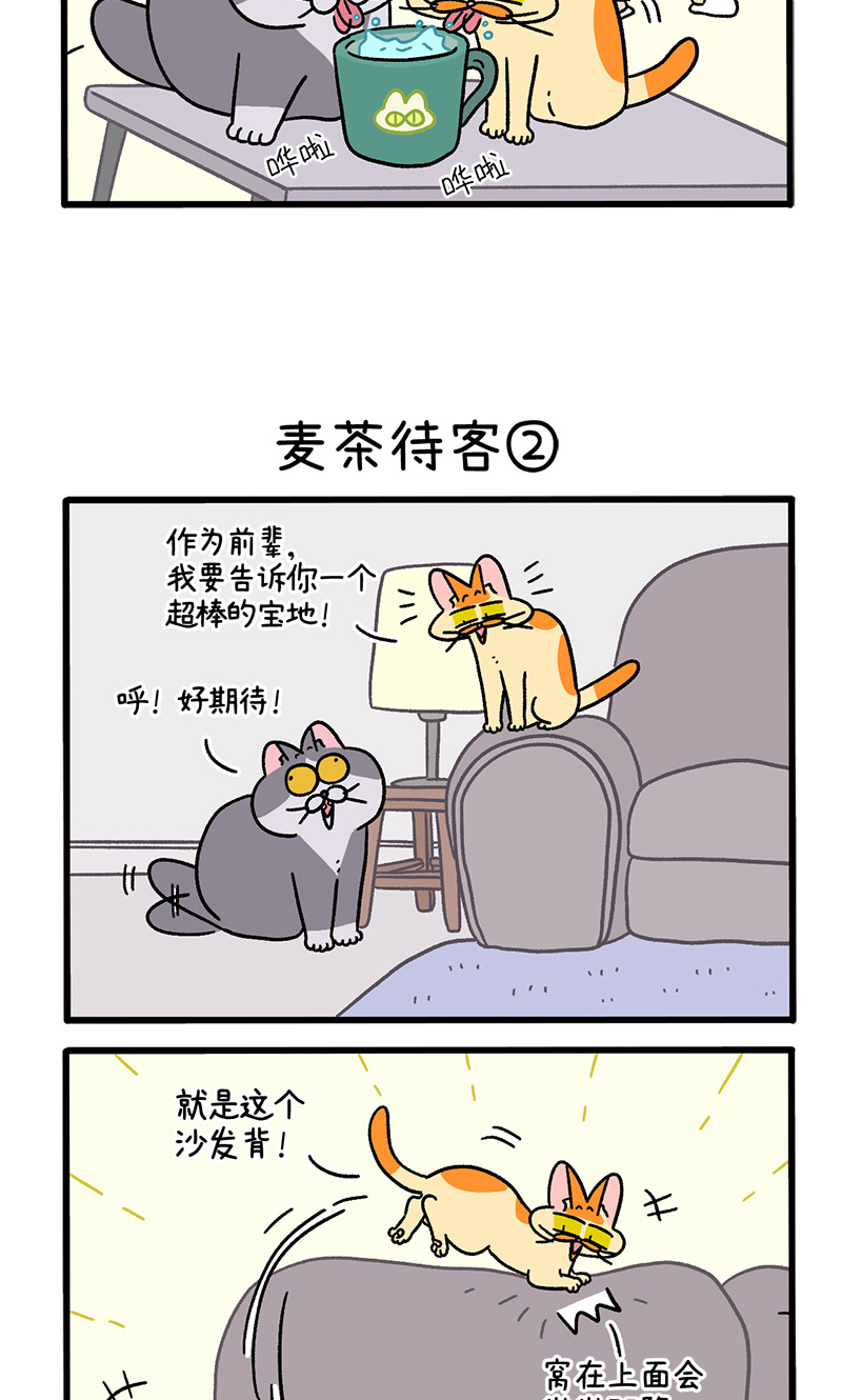 第90话 麦茶待客2