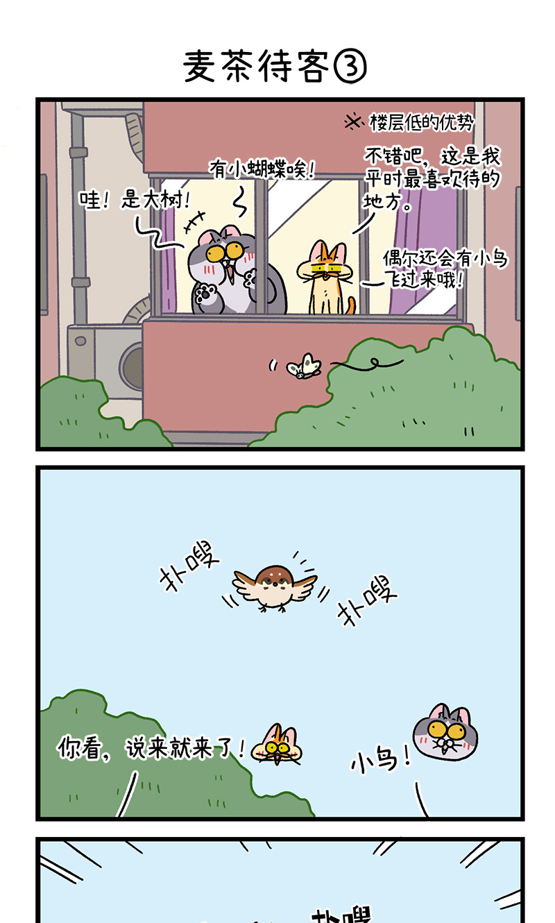 第90话 麦茶待客4
