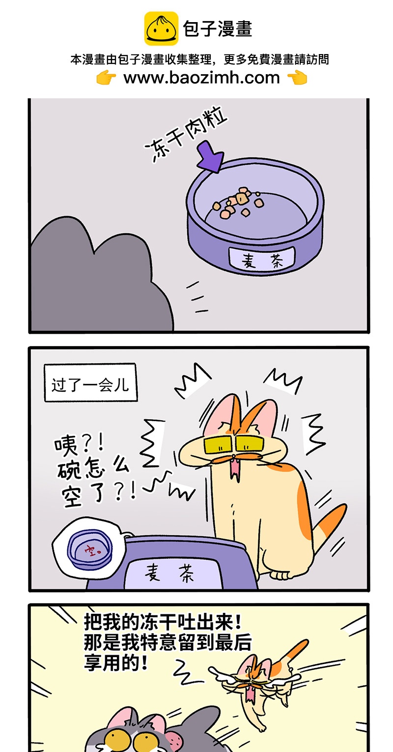 第91话 麦茶的烦恼1