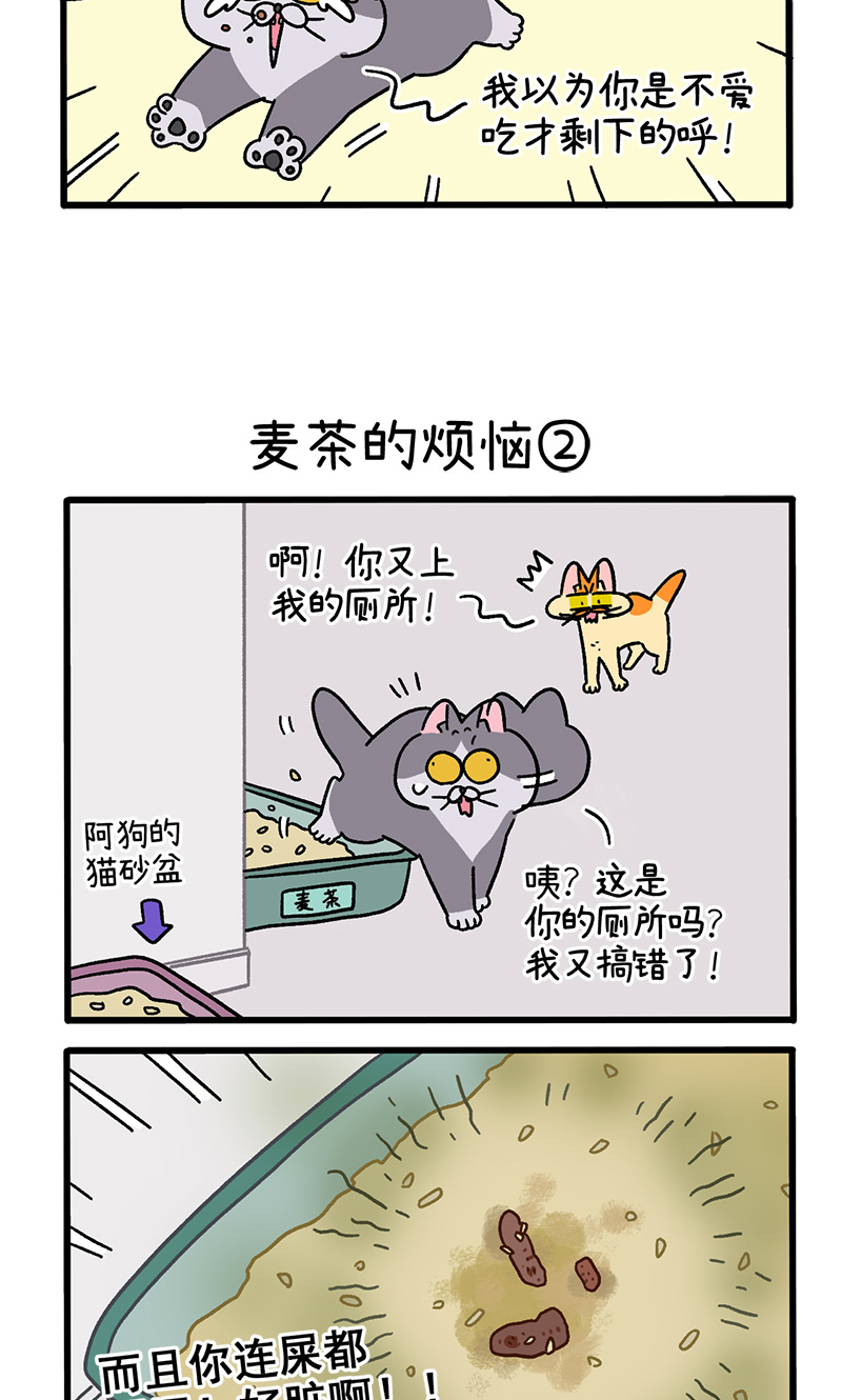 第91话 麦茶的烦恼2