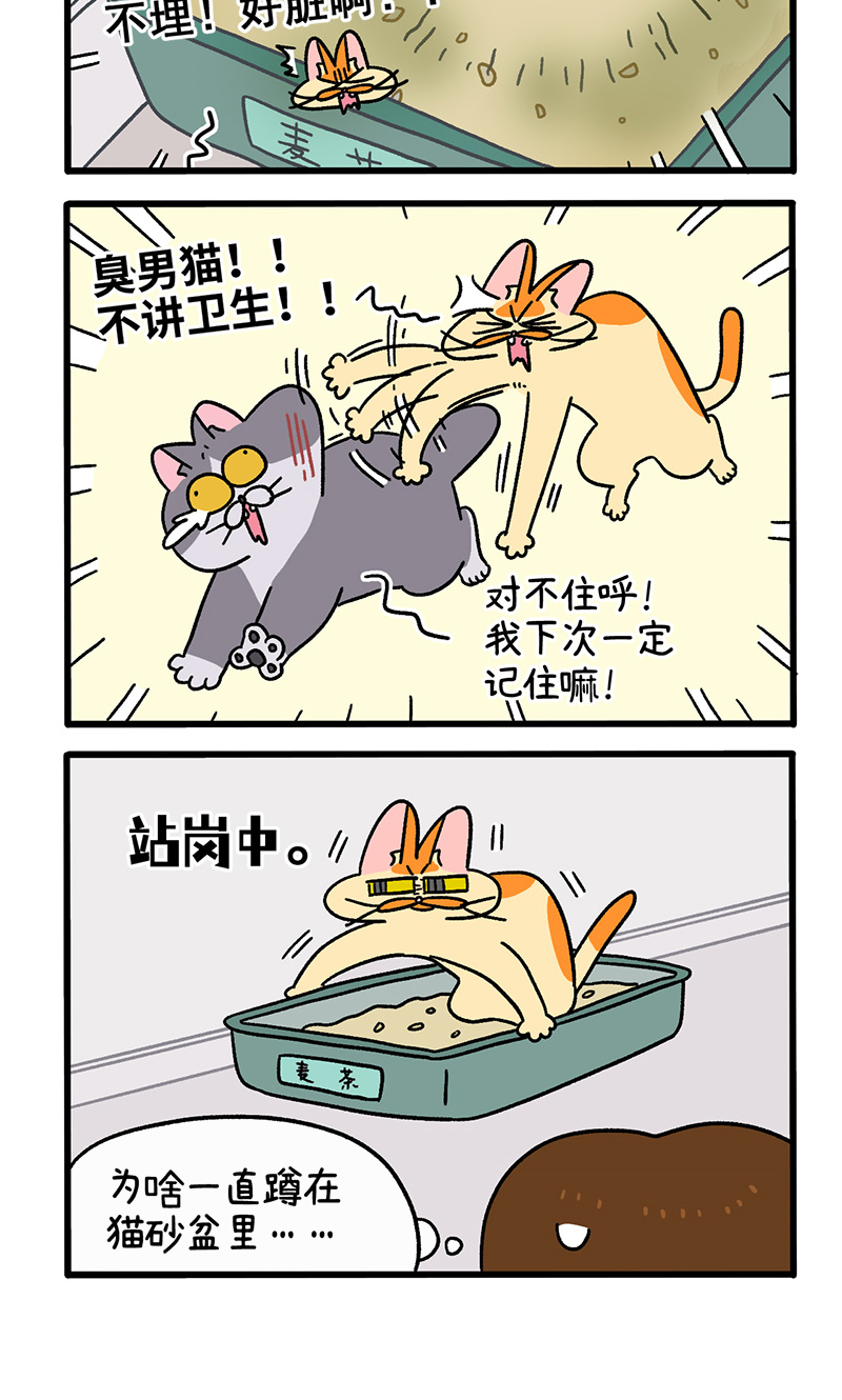 第91话 麦茶的烦恼3