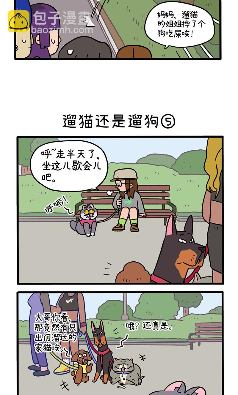 第95话2 遛猫还是遛狗2