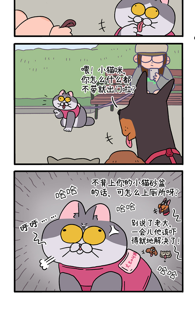 第95话2 遛猫还是遛狗3