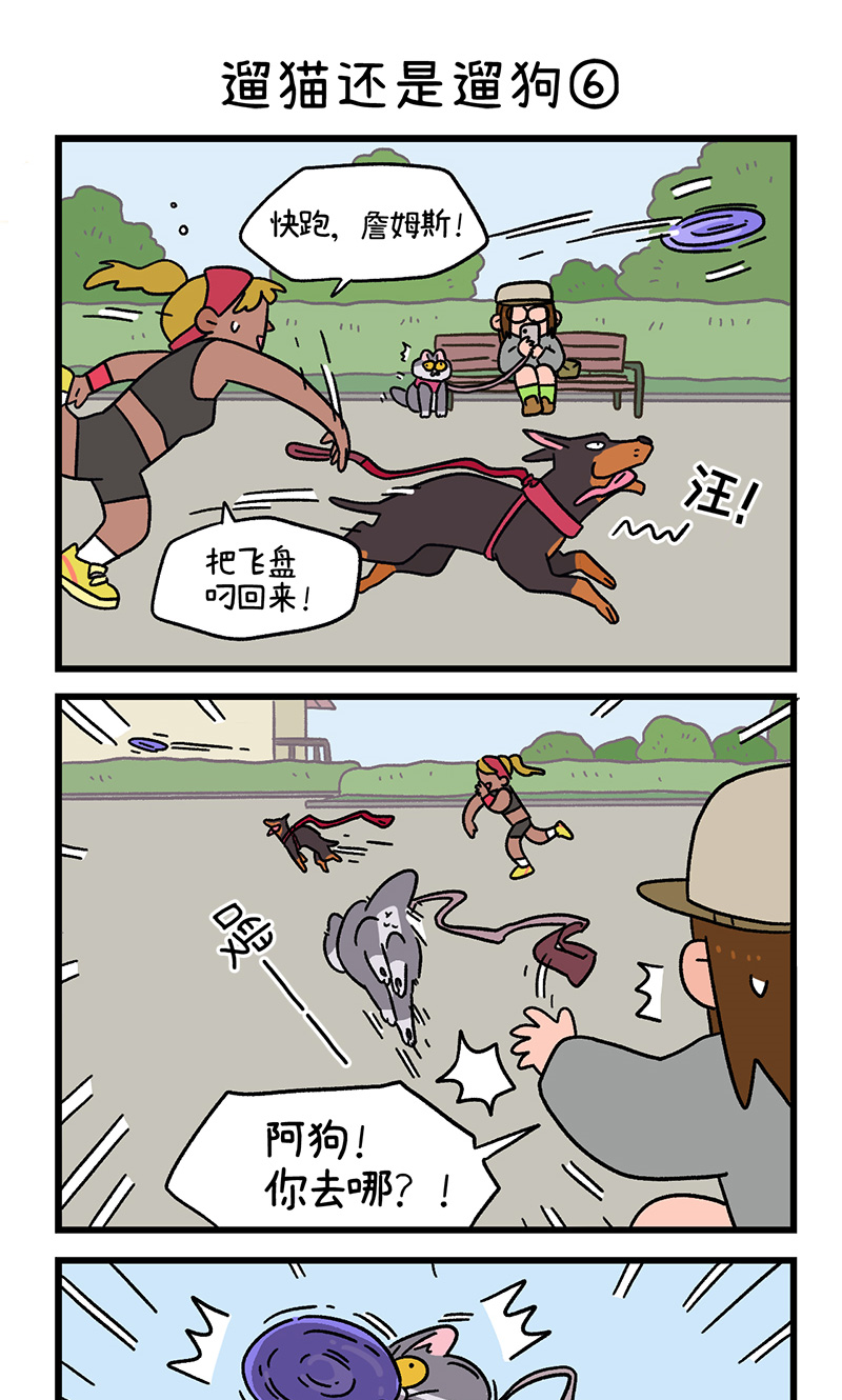 第95话2 遛猫还是遛狗4