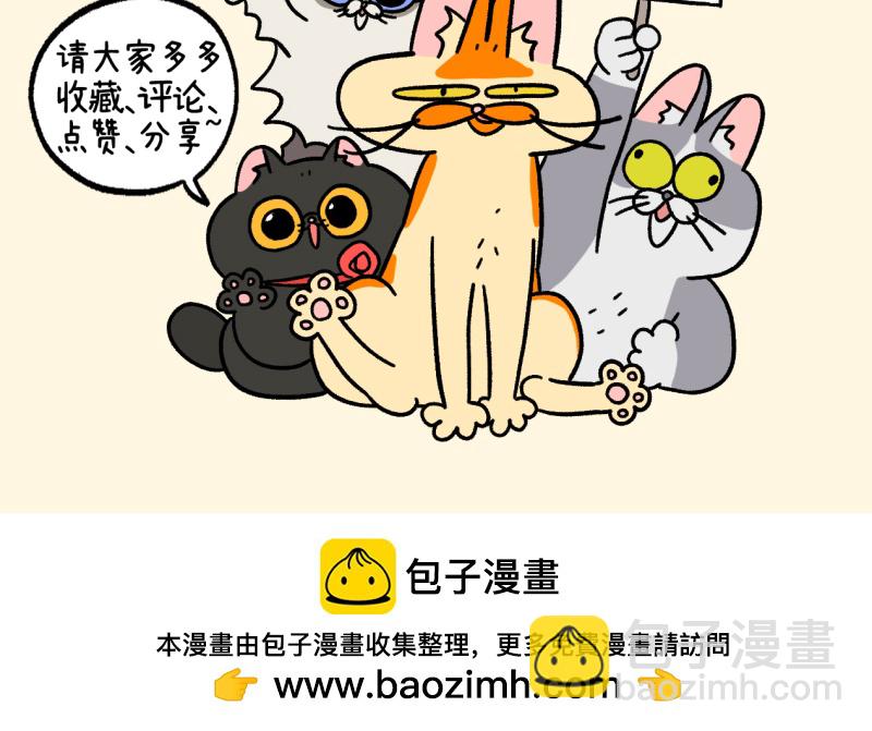 第95话2 遛猫还是遛狗8
