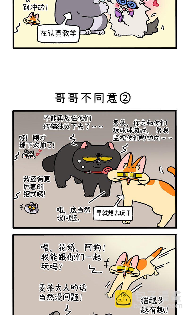 第101话1 哥哥不同意2