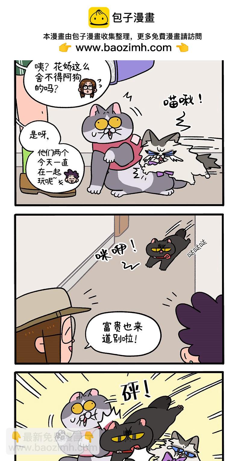 第101话2 哥哥不同意1