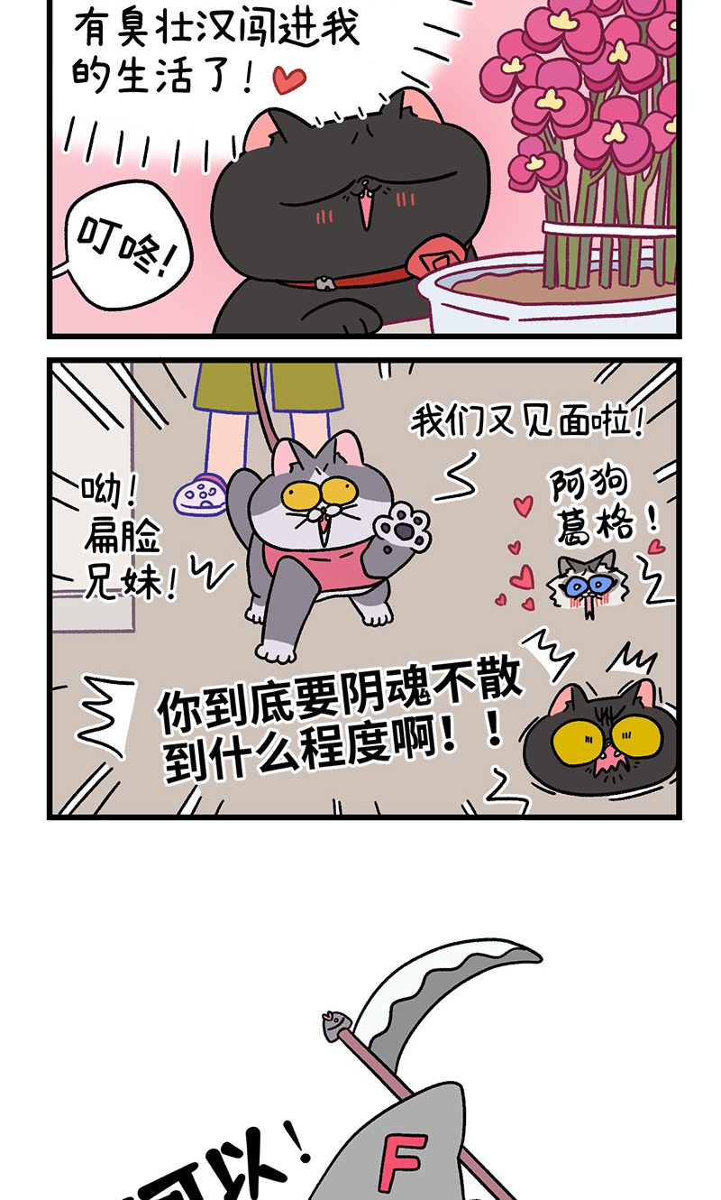 第101话2 哥哥不同意5