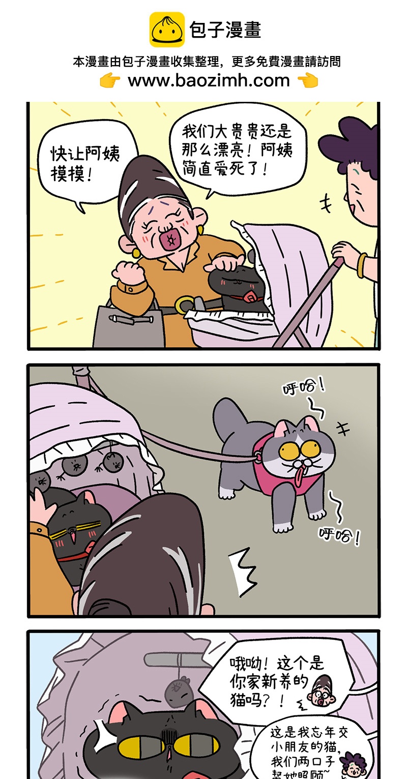 第103话1 球球之魂1