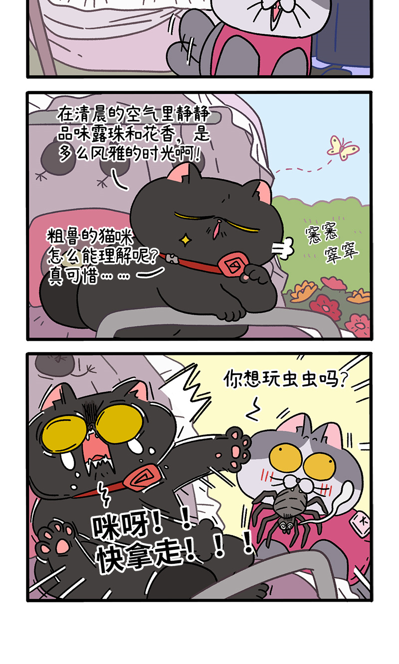 第103话1 球球之魂3