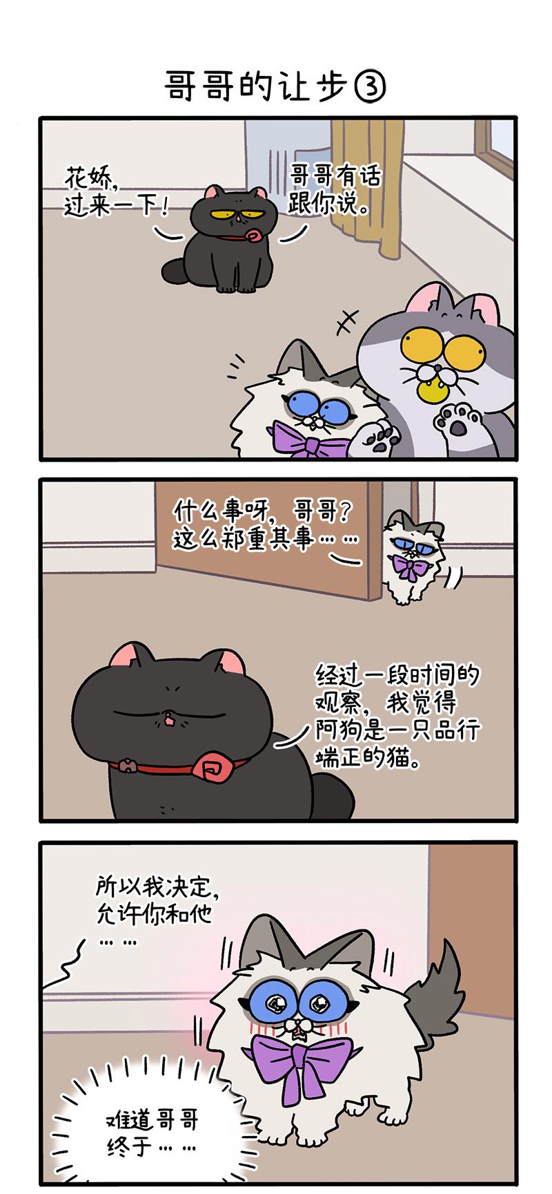 第104话1 哥哥的让步3