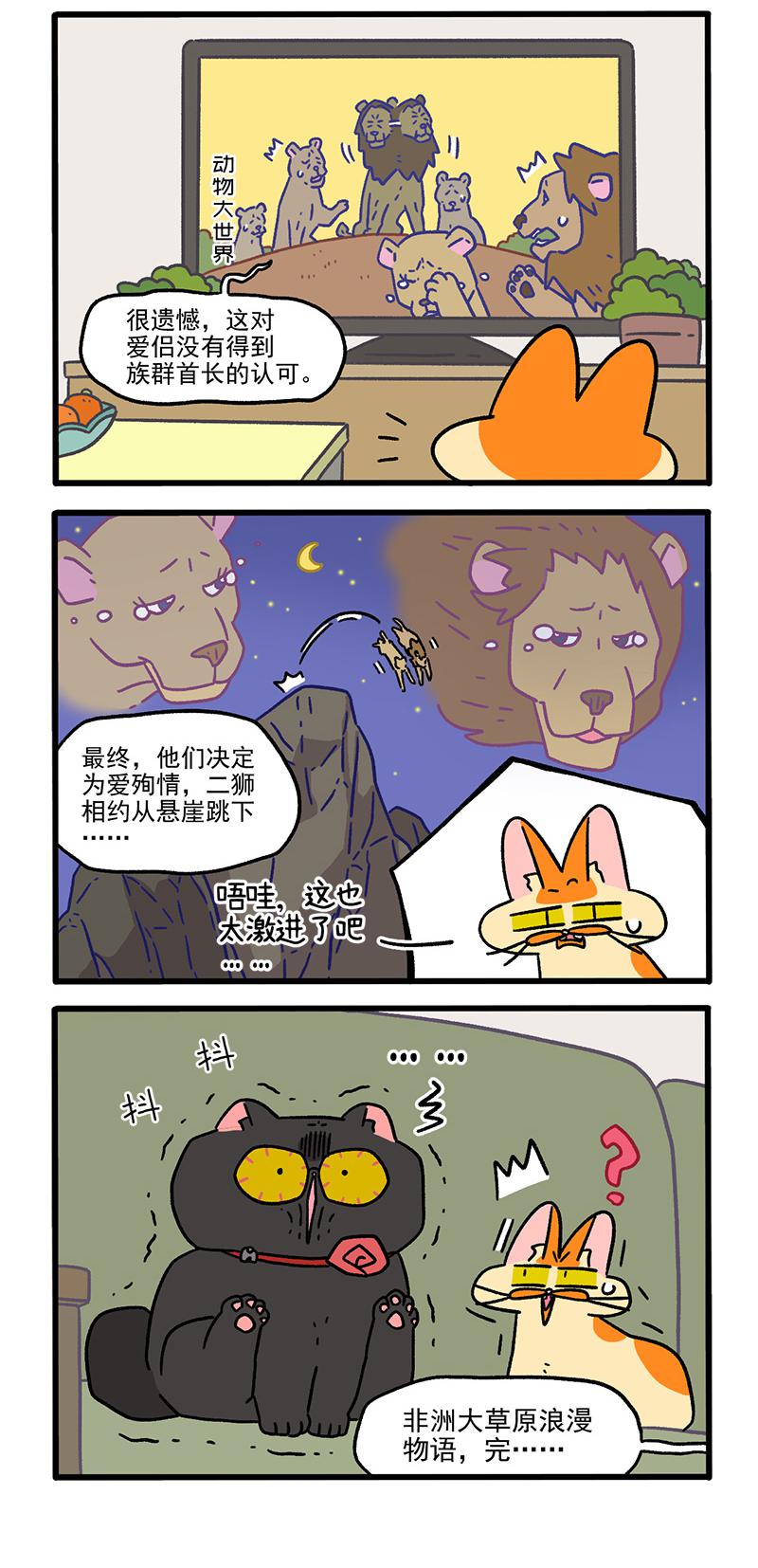 第104话2 哥哥的让步2