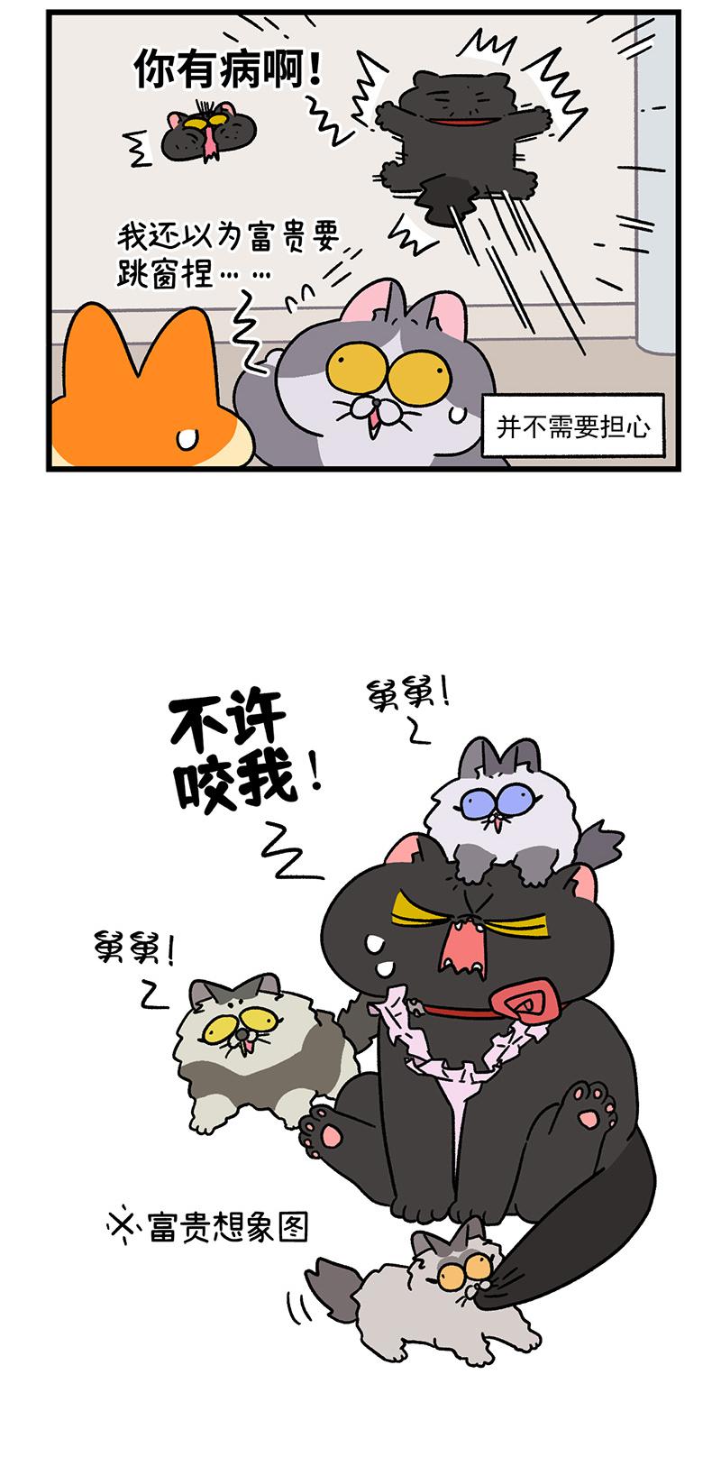第104话2 哥哥的让步4