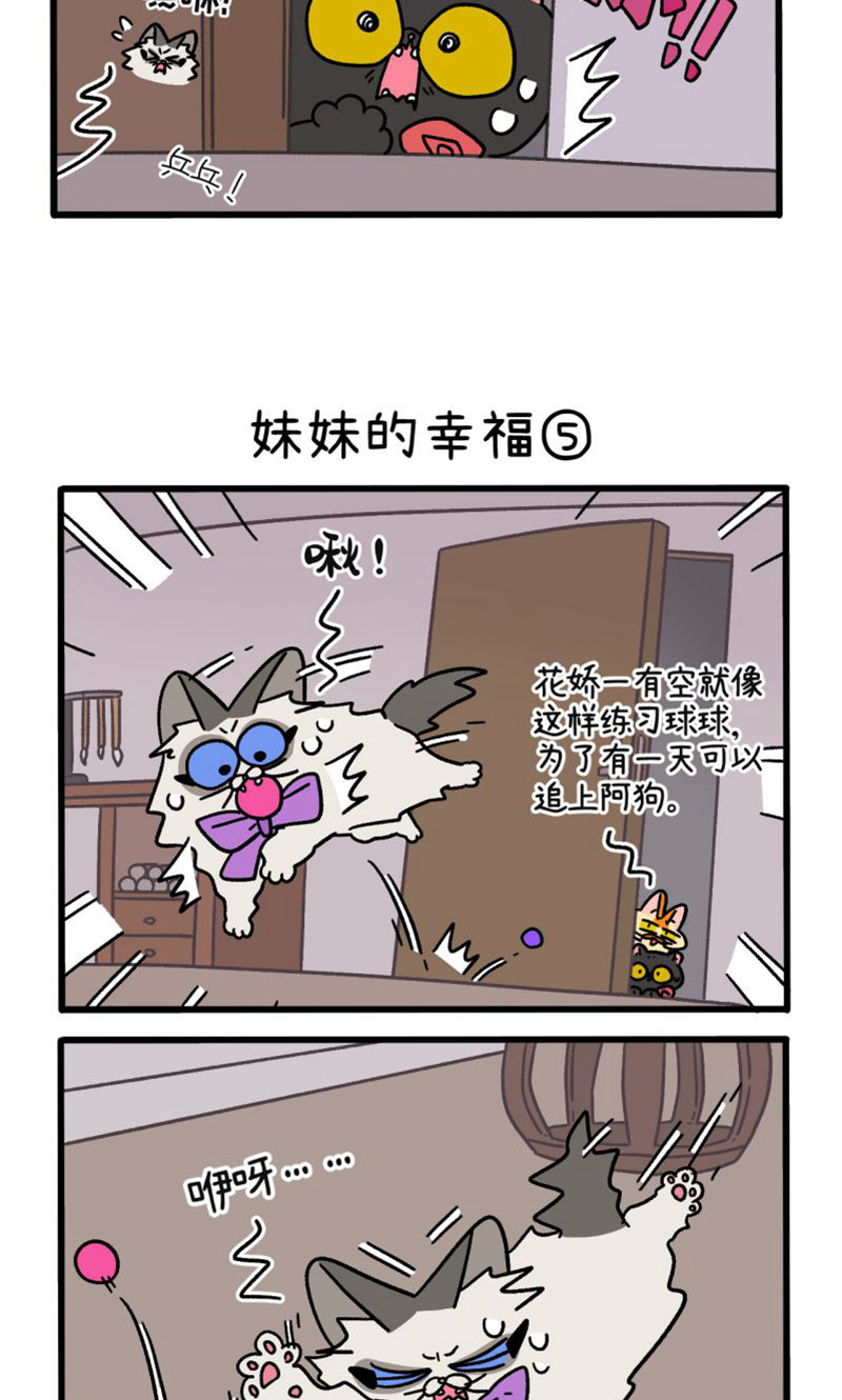 第105话2 妹妹的幸福2