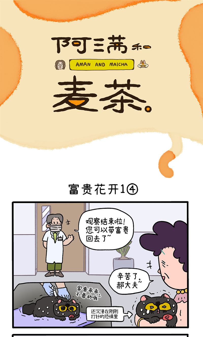 番外21下 富贵花开10