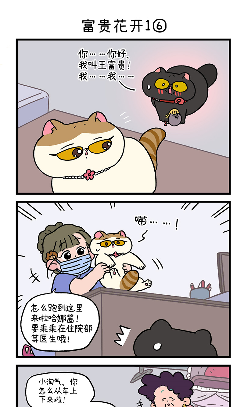 番外21下 富贵花开14