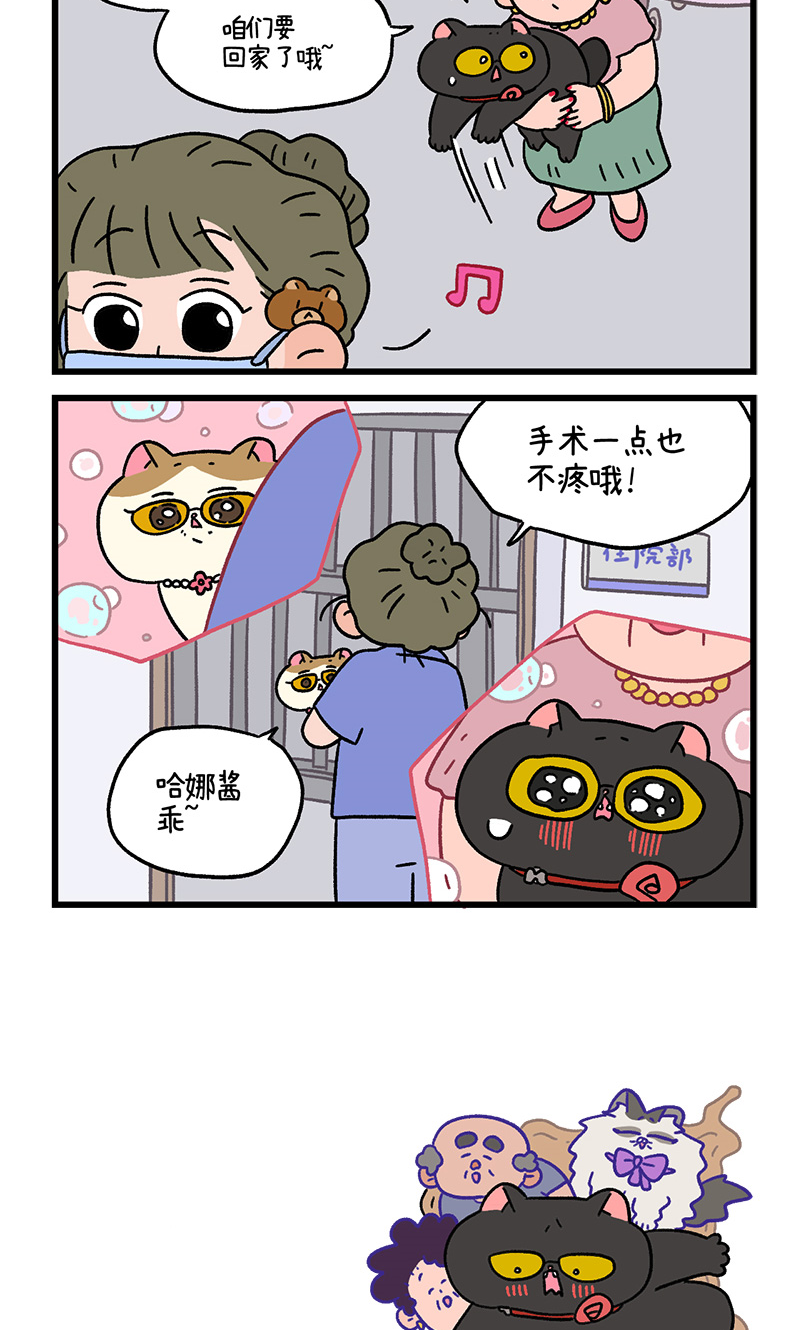 番外21下 富贵花开15