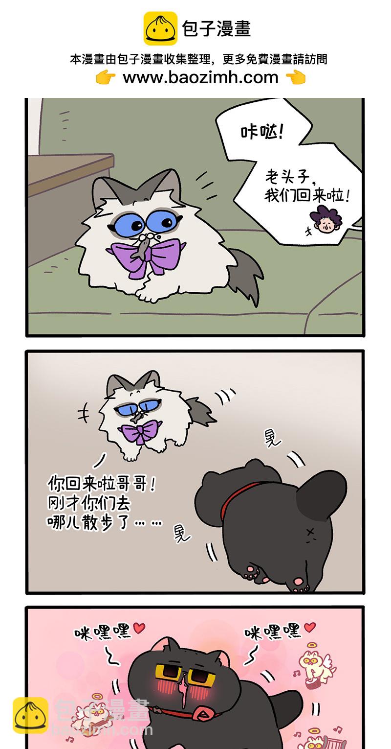 番外22上 富贵花开21