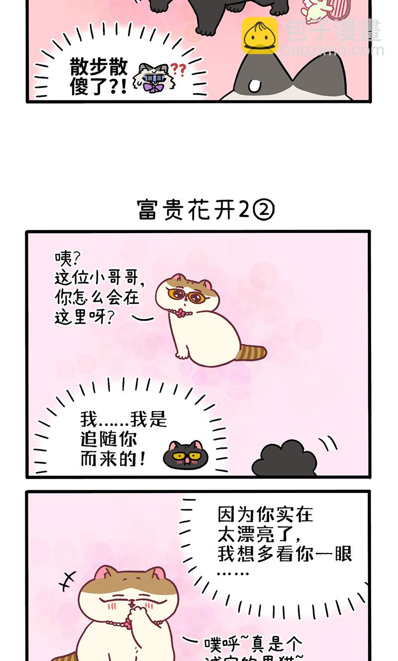 番外22上 富贵花开22
