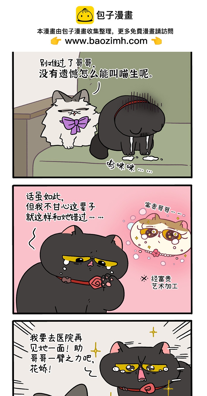 番外22下 富贵花开21