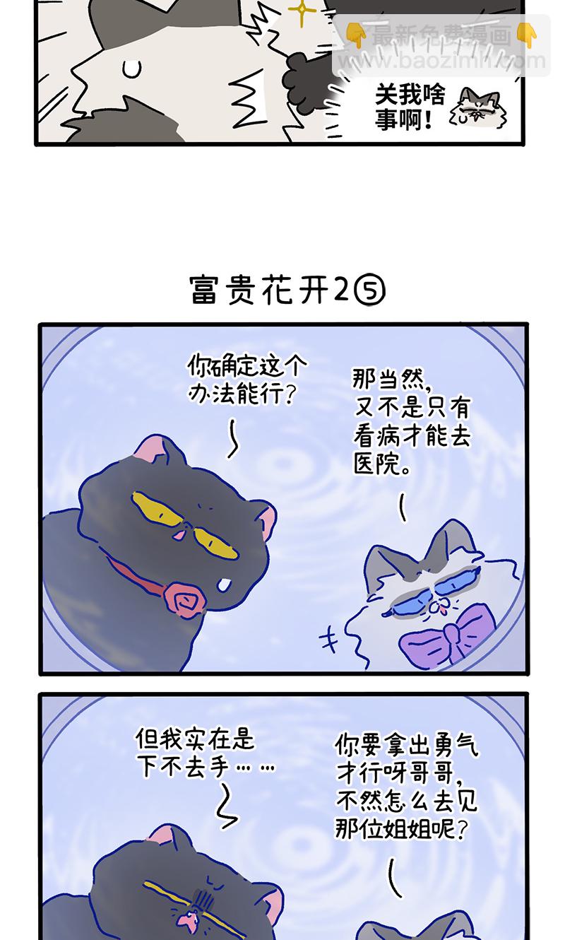 番外22下 富贵花开22