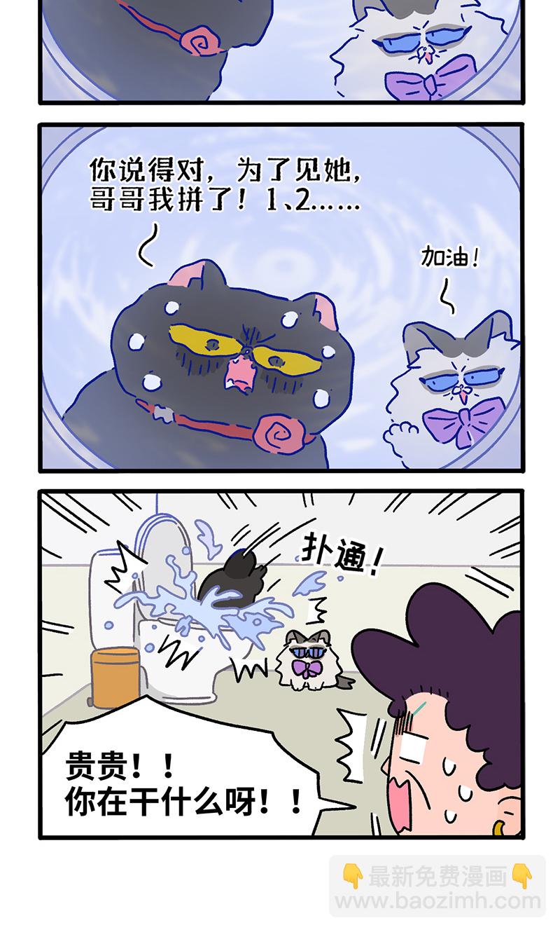 番外22下 富贵花开23