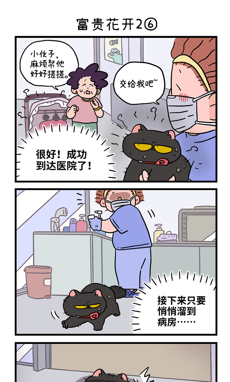 番外22下 富贵花开24