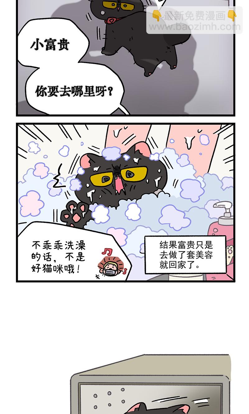 番外22下 富贵花开25