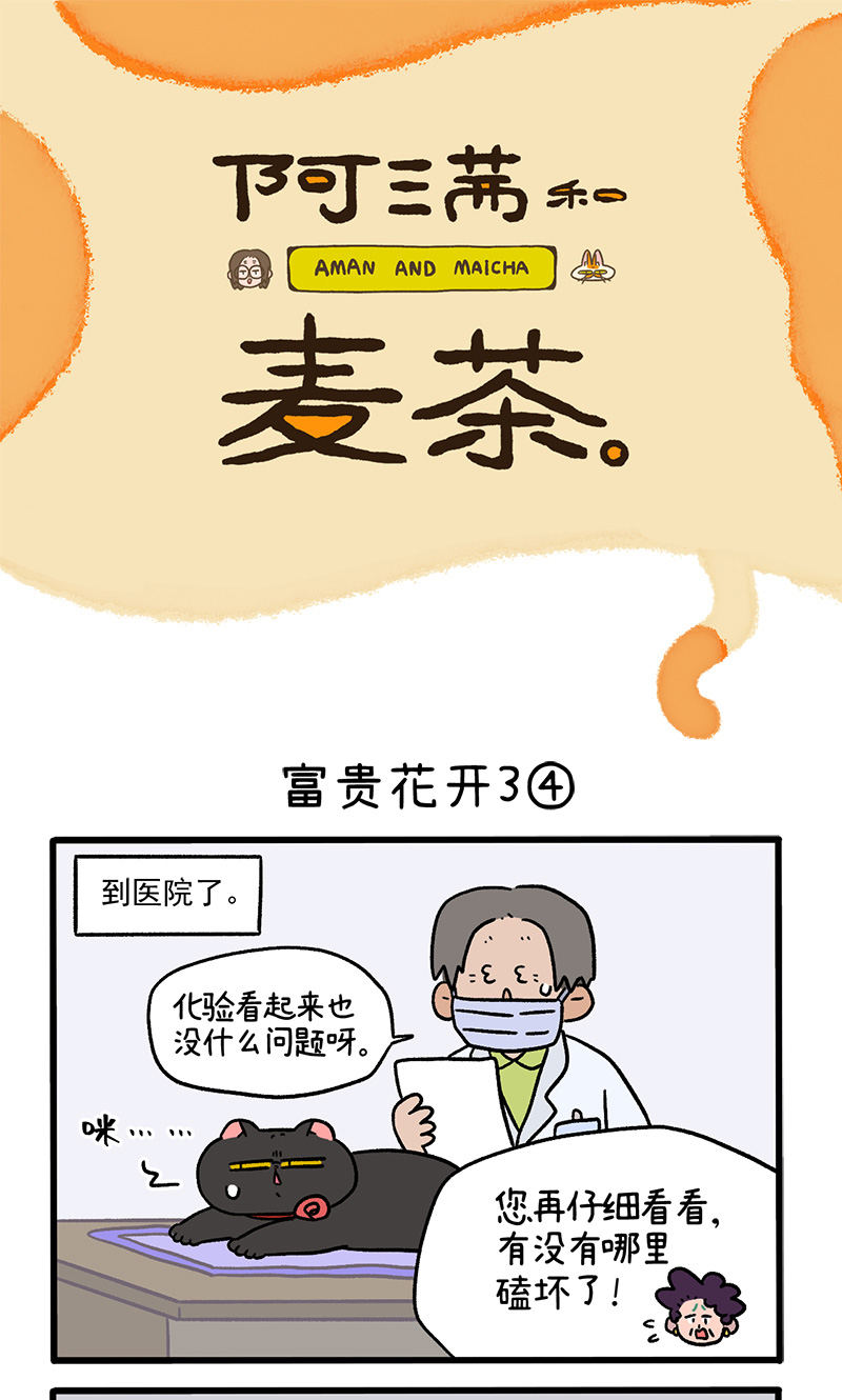番外23下 富贵花开30