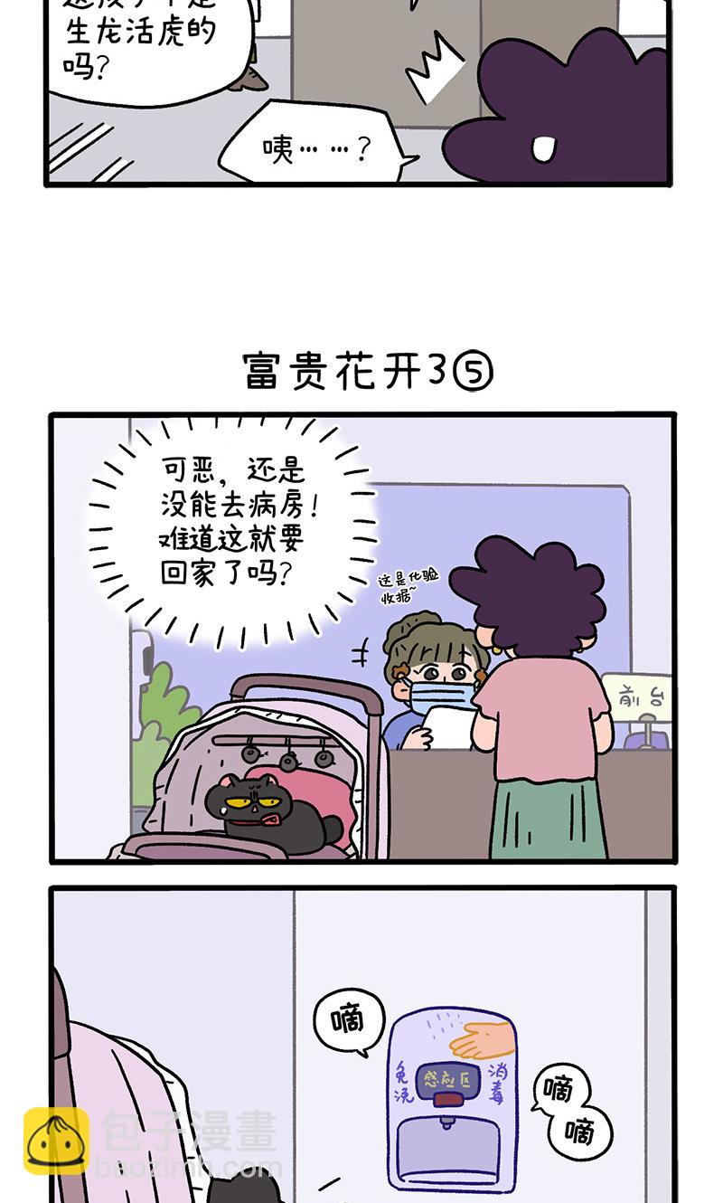 番外23下 富贵花开32